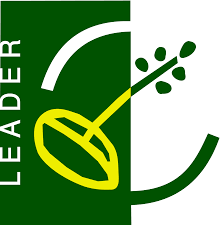 04-leader